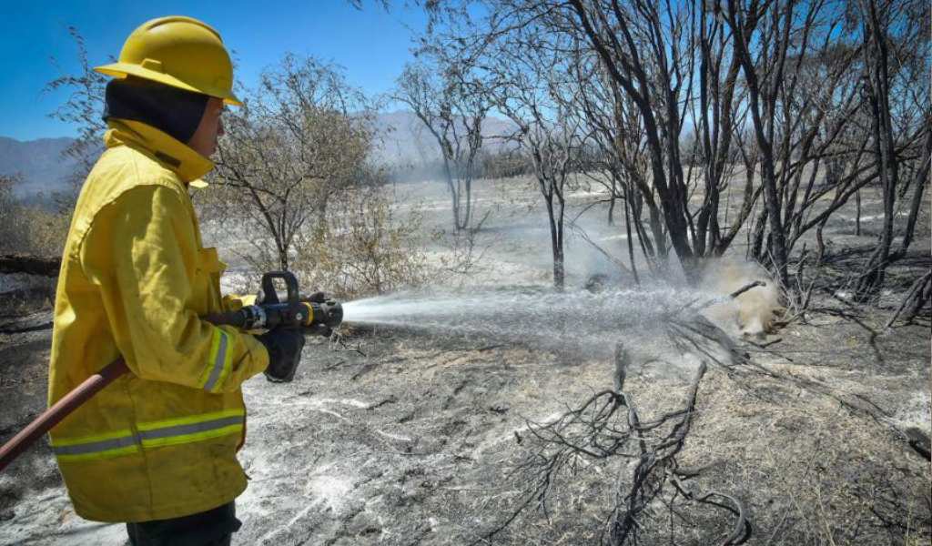 Prohíben lotear los terrenos afectados por el incendio intencional de un bosque nativo en Cafayate