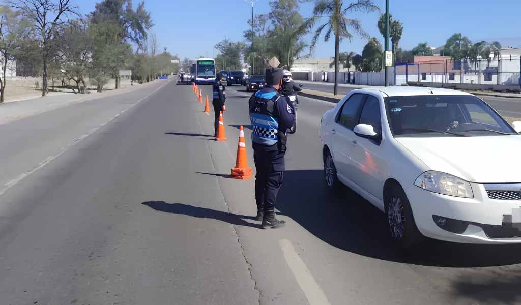 Peligro en las rutas: Detectan a 74 conductores alcoholizados tras controlar 11.400 vehículos en Salta