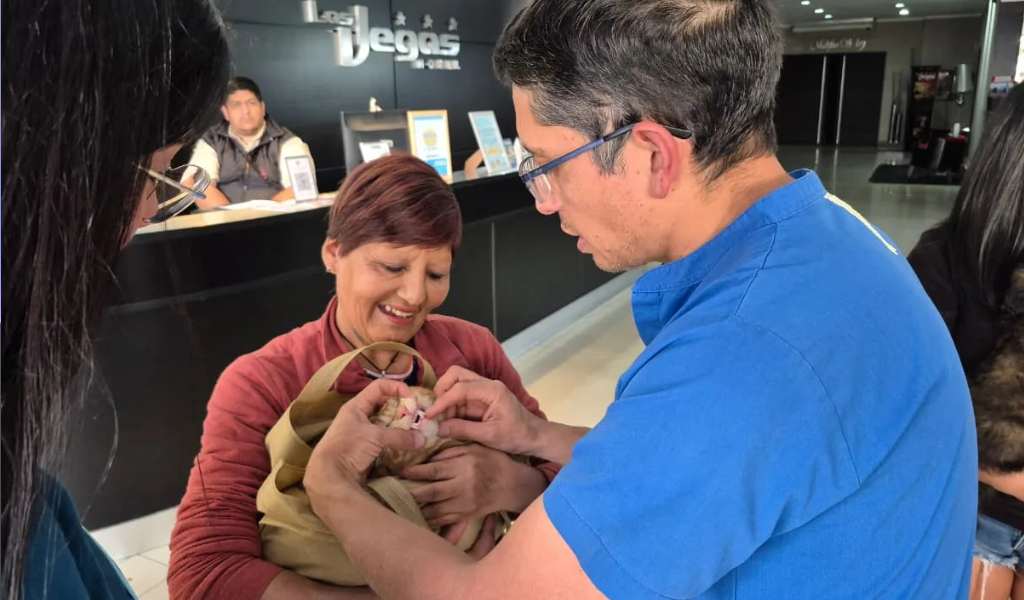 De la calle al amor de una familia: siete cachorritos del Centro de Adopciones de la Municipalidad de Salta consiguieron hogar