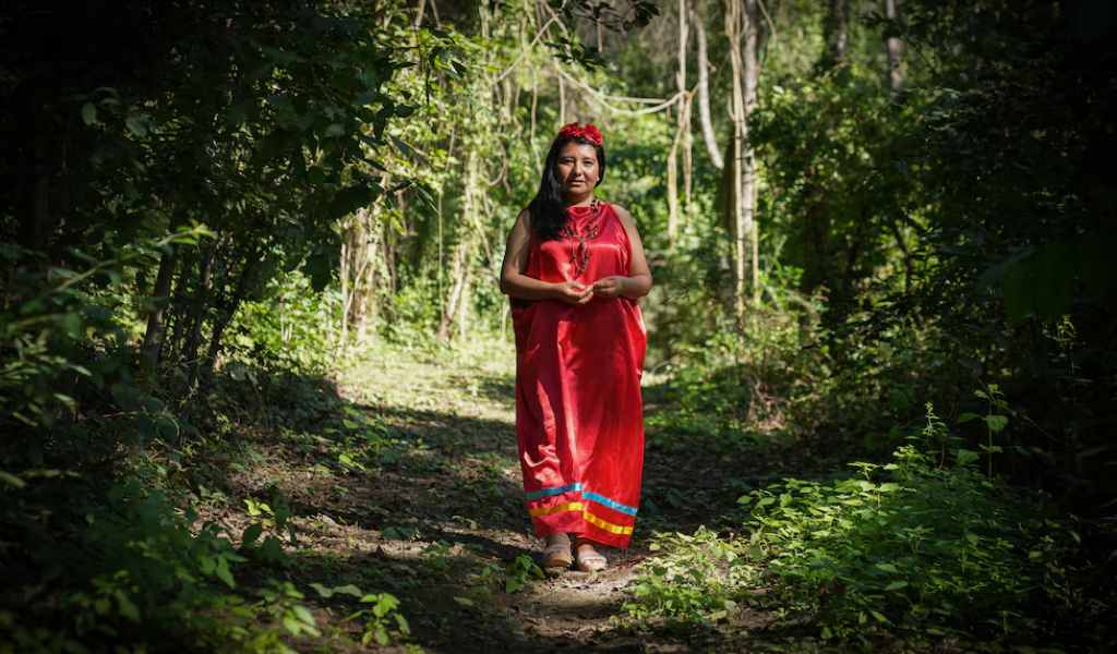 “Las protectoras de las Yungas”: la comunidad guaraní en Salta apuesta por la conservación del bosque y proteger su biodiversidad