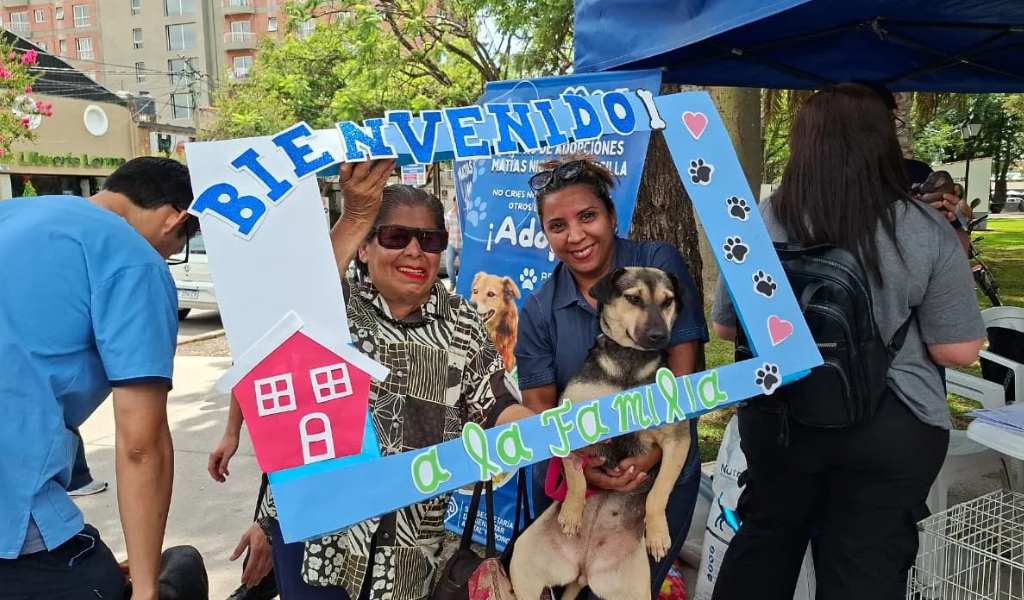 Ahora tienen nuevos amigos: Tras una nueva jornada de adopción organizada por la Muni, 15 perros ahora tienen un nuevo hogar