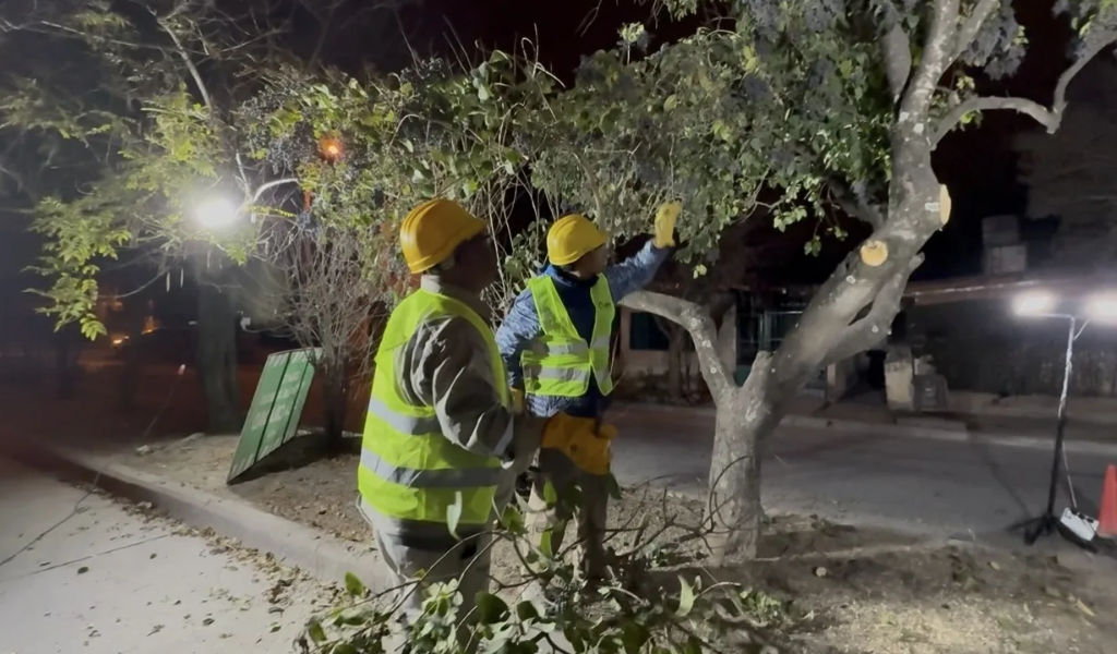 Más seguridad: la Municipalidad realizó tareas de poda nocturna en Santa Lucía