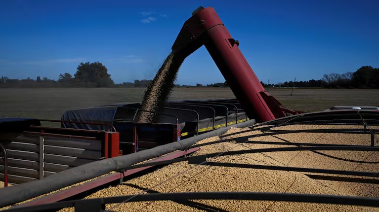 Puñalada al campo: el Gobierno vuelve a subir las retenciones a la soja y al maíz