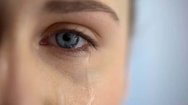 Crecen las denuncias por violencia doméstica en Argentina: se reciben 53 casos por día y 4 de cada 10 víctimas son menores