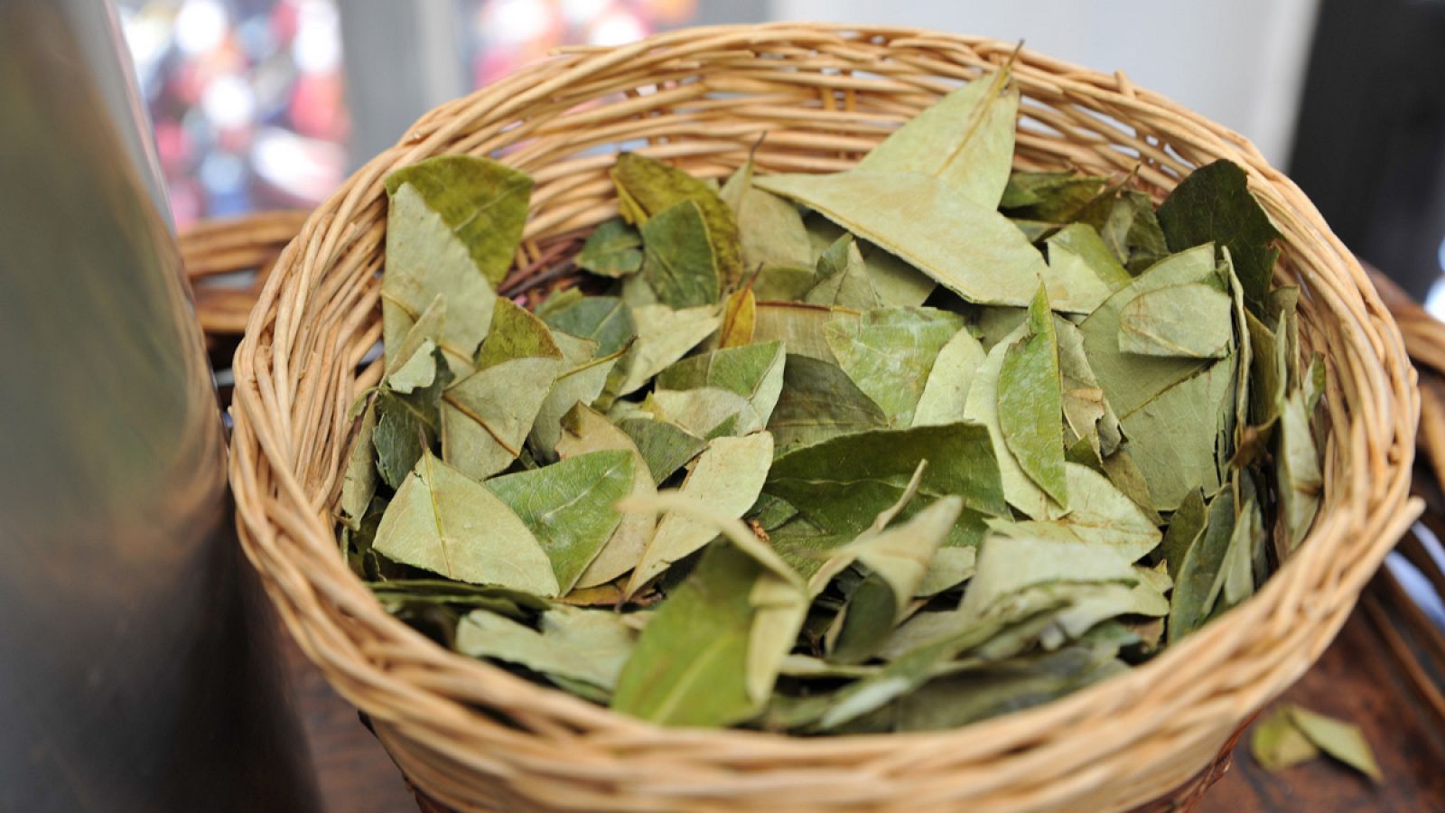 Diputados  salteños solicitan la autorización de importación legal de hoja de coca destinada a la masticación e infusiones