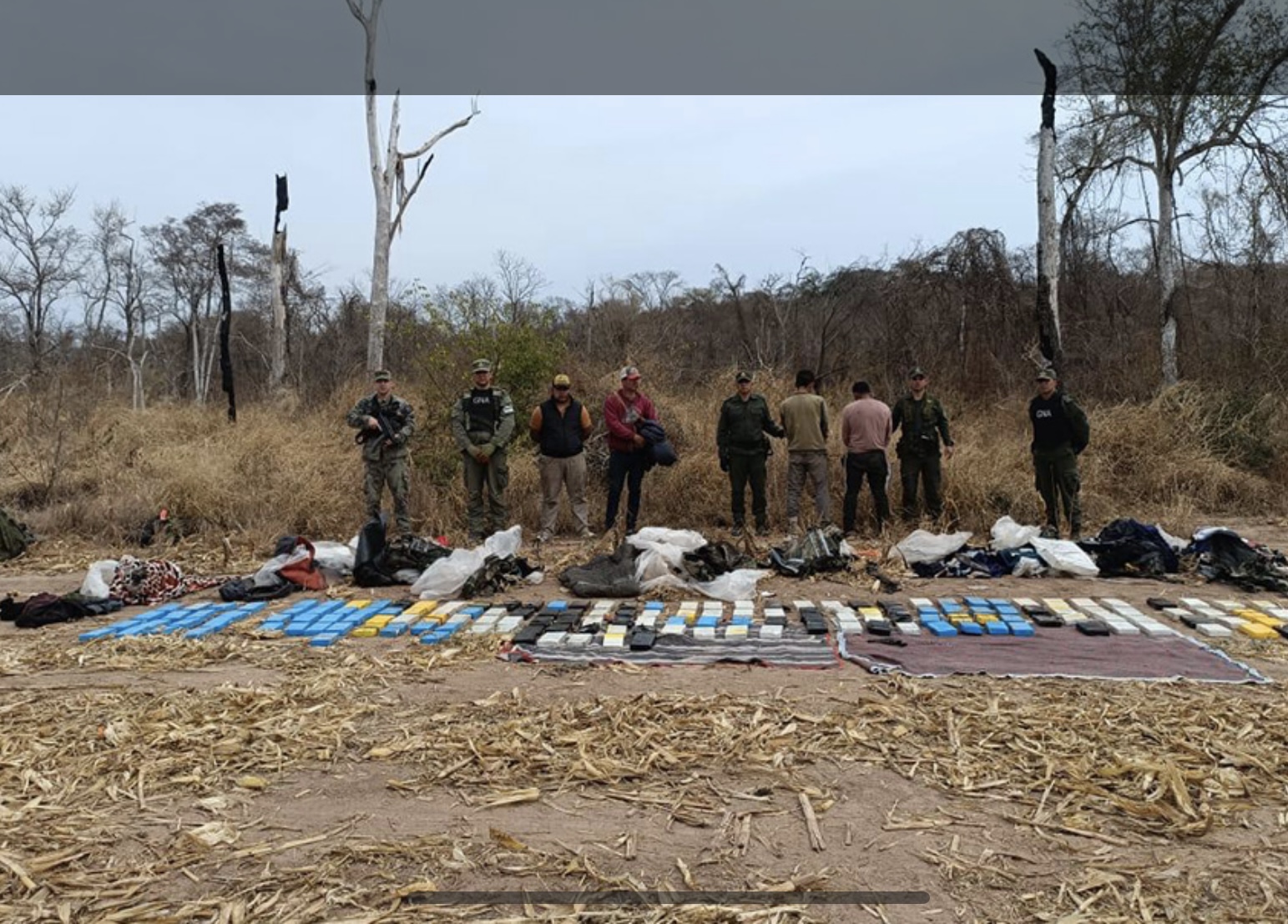 Condenaron a 4 hombres a más de 8 años de prisión por traficar 195 kilos de cocaína en el norte de Salta