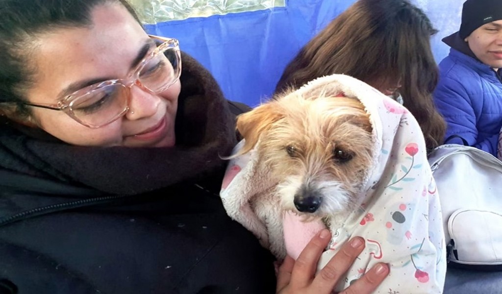 El Móvil de Castración atenderá del lunes 23 al viernes 27 en barrios de zona sur