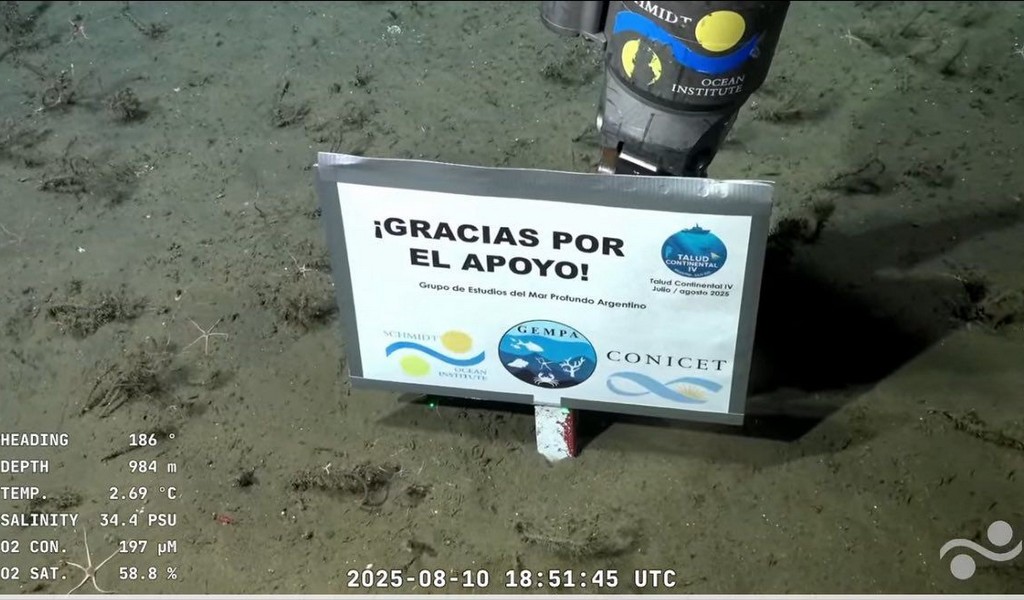 El streaming del Conicet llegó a The New York Times con críticas a Milei: "Fue un mensaje de resistencia al ajuste a la ciencia"