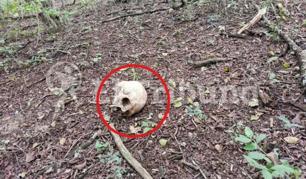 Un ganadero de El Bordo halló restos óseos humanos junto a prendas de vestir en una zona de monte