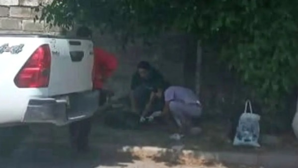 Le quitaron el carnet a un conductor que atropelló y abandonó a un perro en Campo Quijano