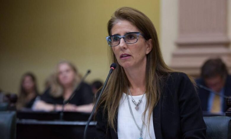 Narcotráfico: Legisladores oficialistas salteños solicitan a Nación la aplicación urgente de la Ley de Derribos