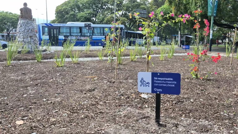 ¡Se pide a los vecinos que los cuiden! La Municipalidad ejecuta tareas de parquización en espacios verdes de la ciudad