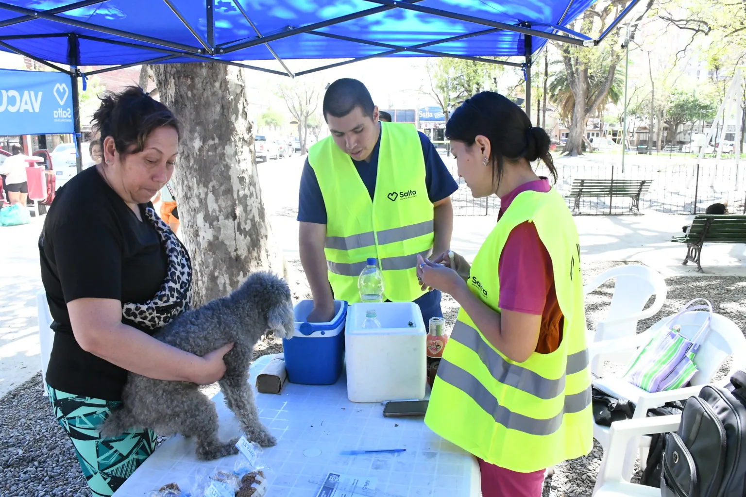 Cuide a su mascota: Se realizará una campaña de vacunación antirrábica en los barrios Cerámica, El Sol, María Esther y 20 de Junio
