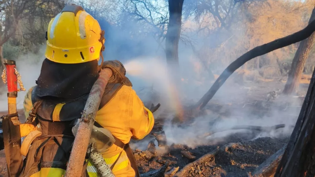 Tras afectar más de 200 hectáreas de bosque nativo el fuego fue controlado en Cafayate