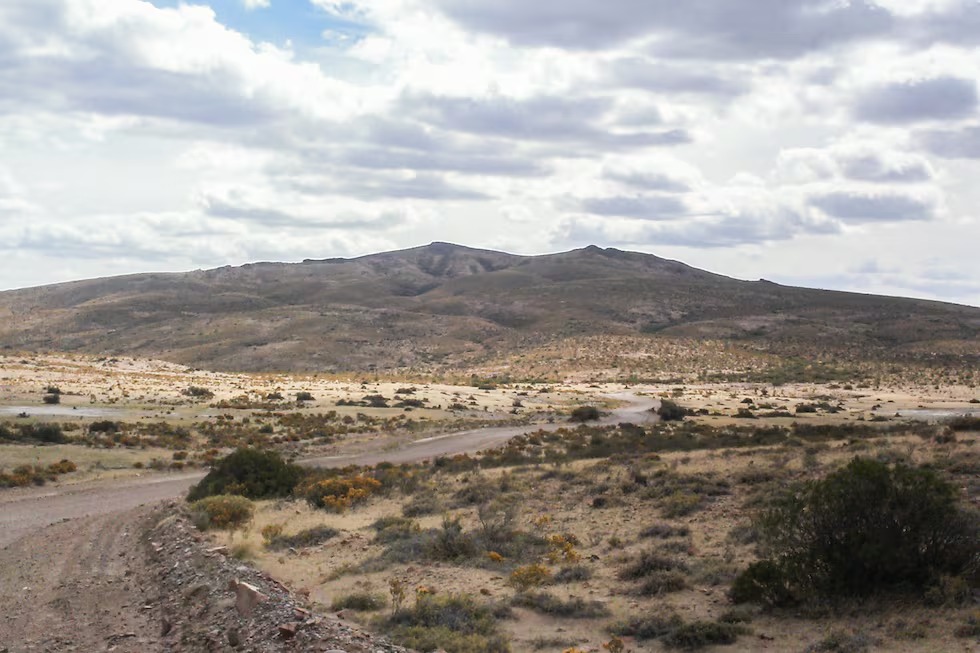 El Senado debatirá el proyecto de Milei para que los extranjeros puedan comprar campos de forma ilimitada
