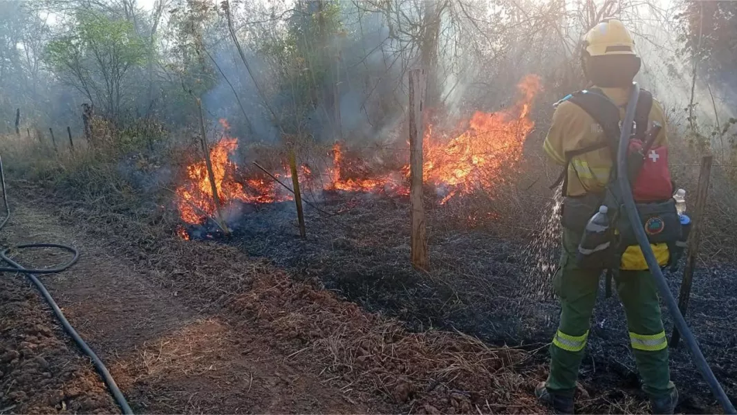 Advierten que el índice de riesgo de incendios forestales es muy alto en la ciudad de Salta