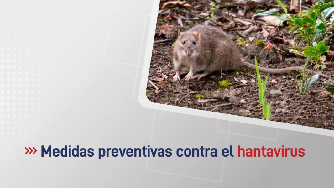 El Ministerio de Salud de Salta registró 4 casos positivos de infección por hantavirus en lo que va del 2025