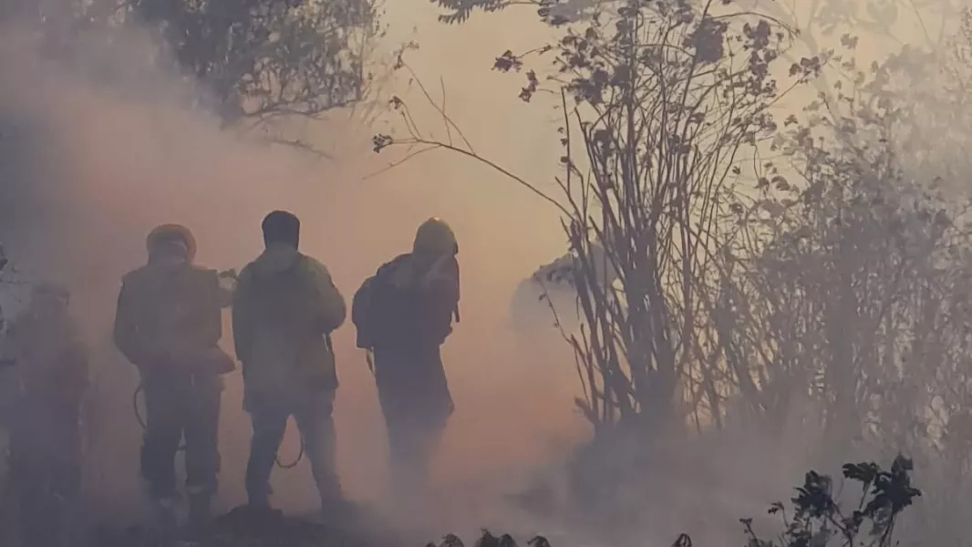 El cerro Elefante, ubicado en el municipio de San Lorenzo, sufrió un gran incendio en una de sus laderas