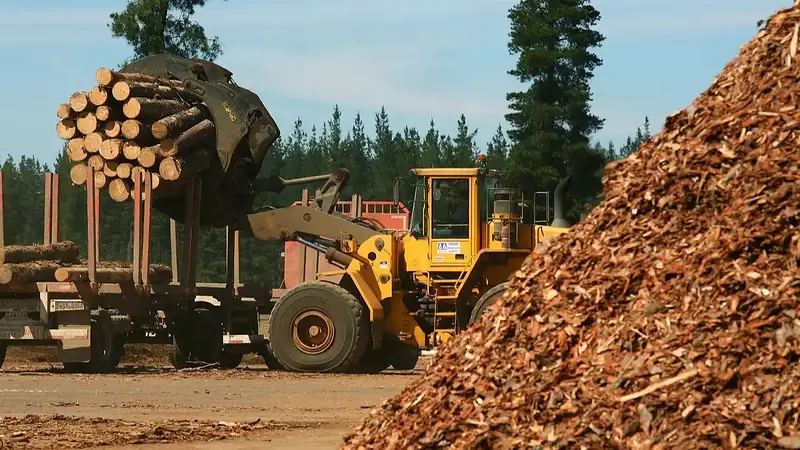 La industria forestal correntina criricó las políticas de Milei: "Ajuste a las pymes y no a la casta"