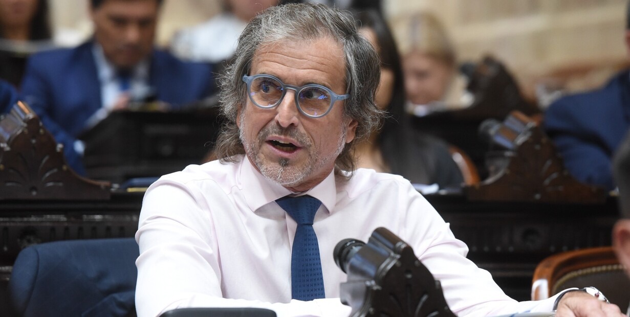El libertario Benegas Lynch se opone al rescate de morosos: “Está el tipo que compró la televisión para el Mundial y, como Argentina no salió campeón, no quiere pagar la deuda”