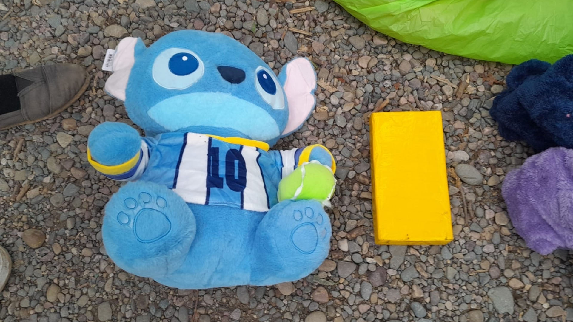 En Orán detuvieron a una mujer por llevar un kilo de cocaína oculto en un peluche