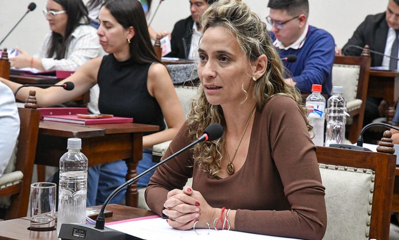 Camila Lobo: “La Libertad Avanza sigue sin presentar proyectos de fondo que respondan a las necesidades reales de la gente”