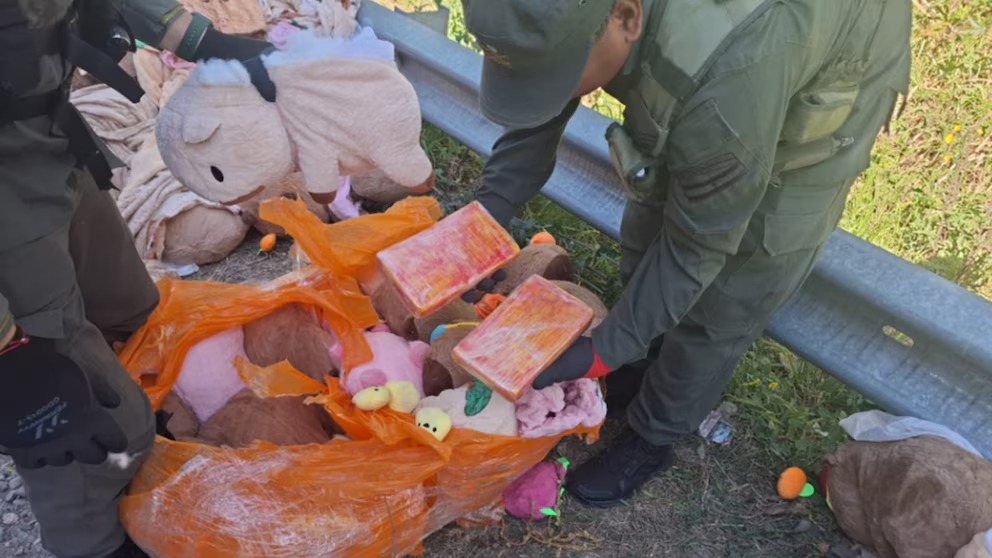 Salió de Orán en un tour de compras pero escondía 4 kilos de cocaína en carpinchos de peluche