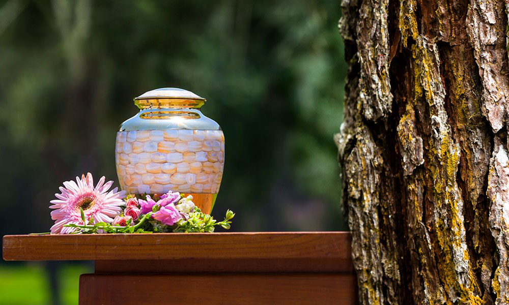 El Municipio de Salta podrá implementar el servicio gratuito opcional de cremación para personas carentes de recursos