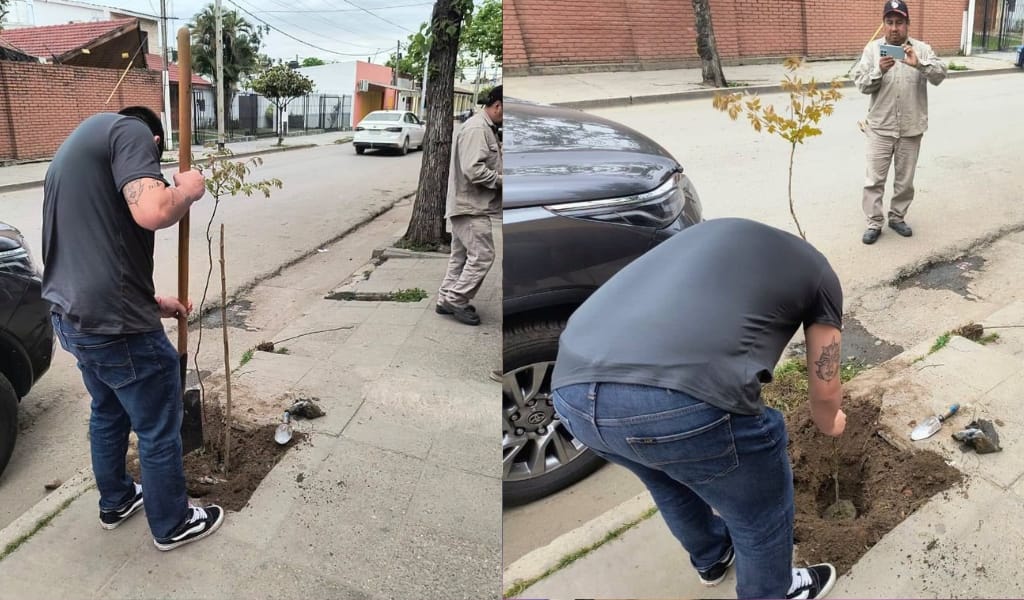 Orán: Un joven rompió un árbol, pidió perdón y ahora está plantando 31 árboles por la ciudad 