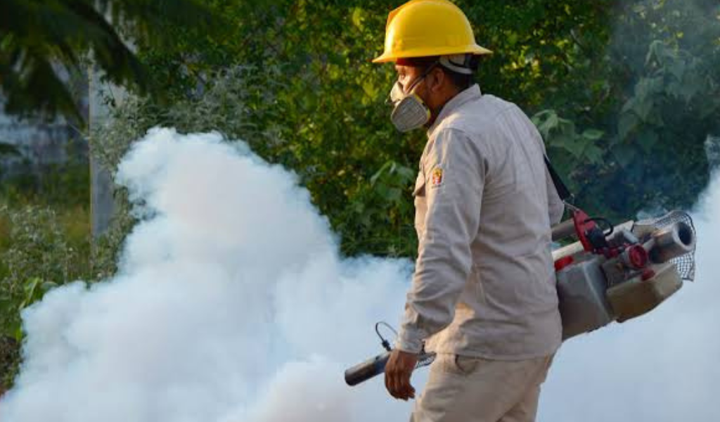 Alerta en la frontera norte: La ciudad boliviana de Bermejo confirma 61 casos de chikungunya y más de 300 personas presentan síntomas
