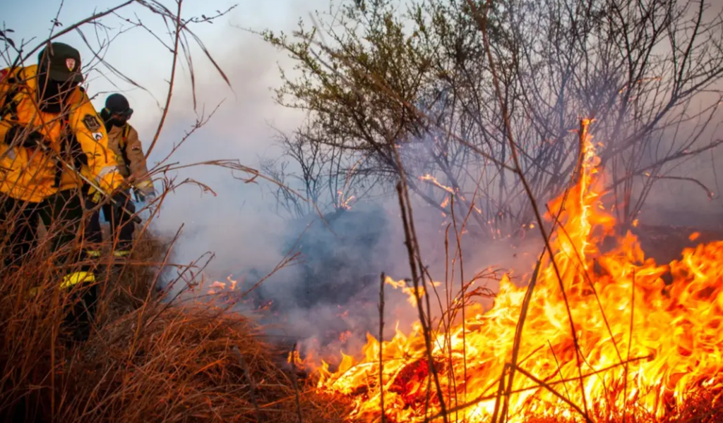 Los incendios forestales arrasaron 2.400 hectáreas en la ciudad y el interior de Salta