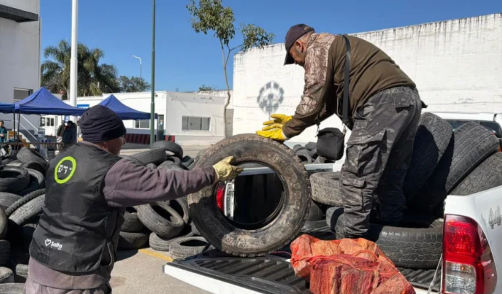 Se realizó un nuevo Neumatón El éxito del programa municipal que limpia la ciudad de neumáticos viejos