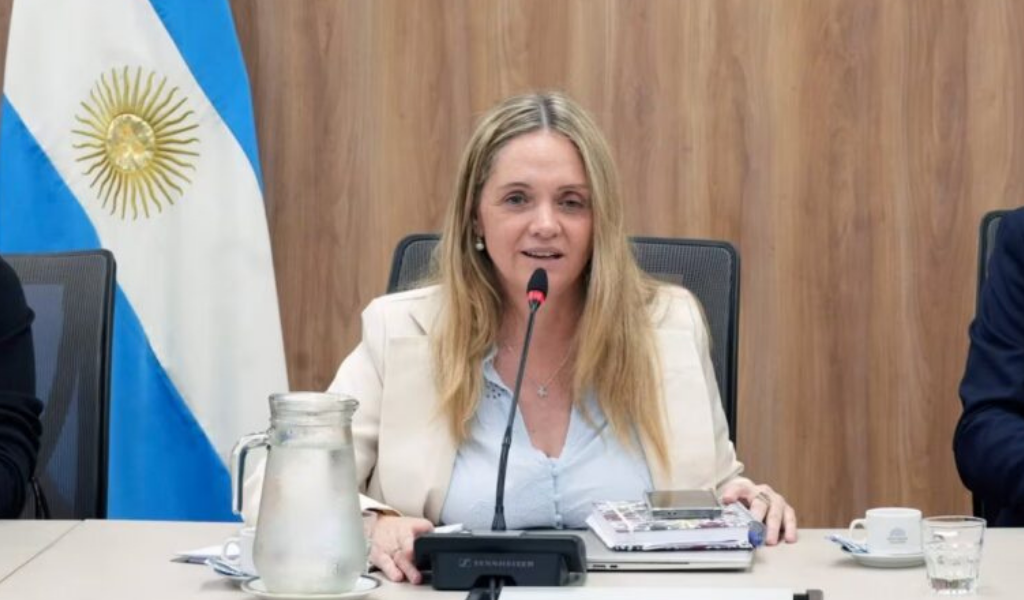 Escándalo y renuncia: La diputada libertaria por Salta deja la presidencia de la Comisión de Niñez tras la polémica por los pasajes