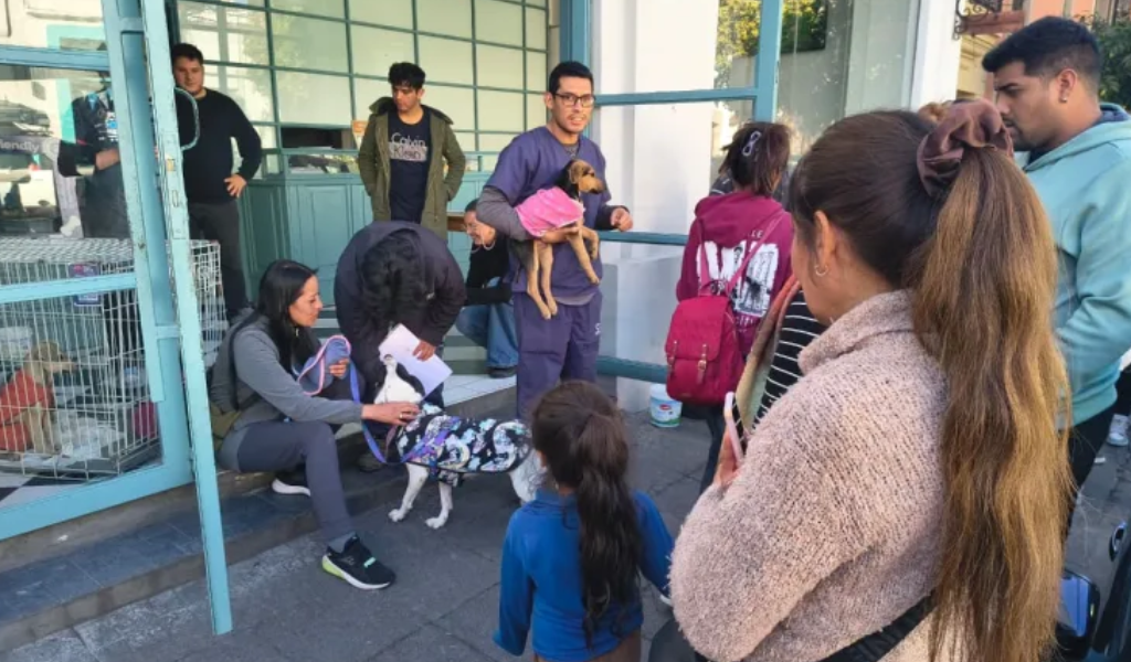 Una segunda oportunidad: La conmovedora jornada donde 5 perritos albergados por la Municipalidad hoy encontraron un hogar