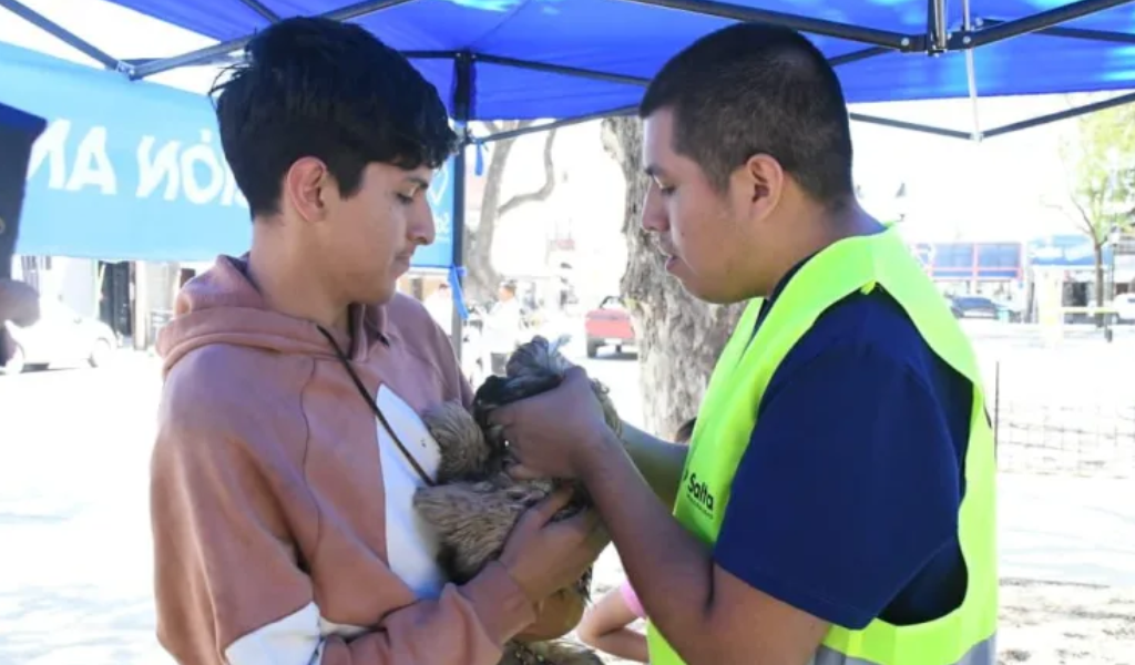 A partir de mañana la Municipalidad instalará puestos de vacunación antirrábica en barrios de zona sudeste