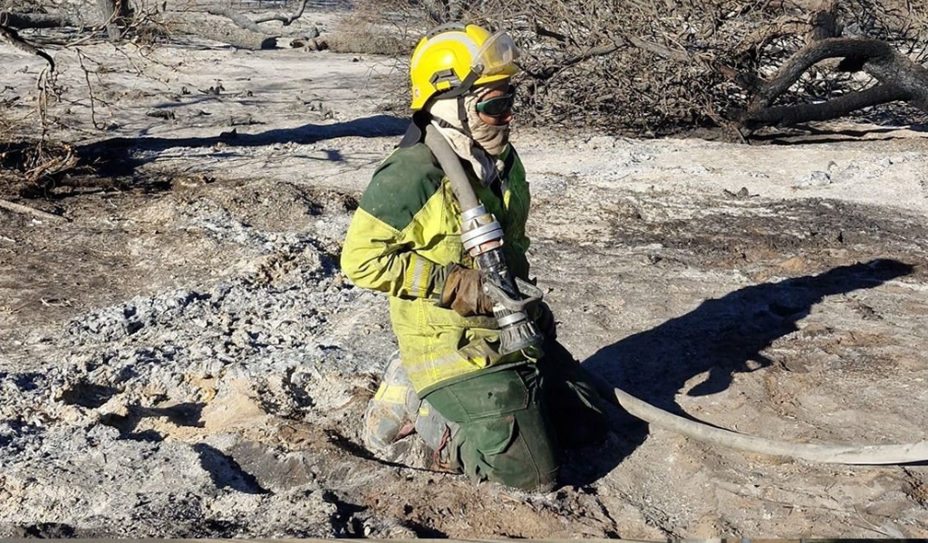 Controlaron el incendio forestal de Cafayate: "Fue intencional y se perdieron 50 hectáreas de bosque nativo"