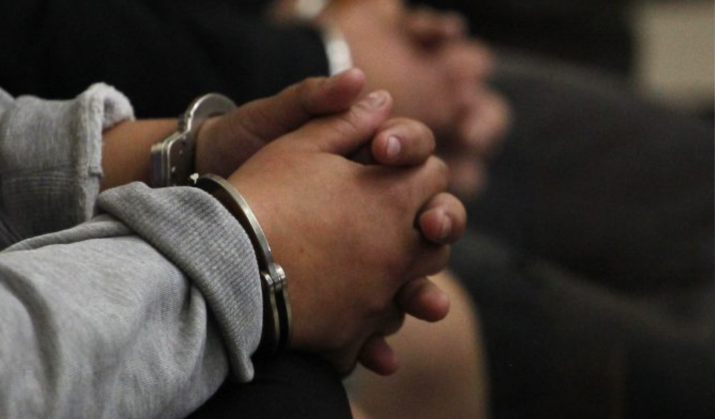 Doble condena en Salta: Un hombre fue sentenciado por robo y por lesionar al perro que custodiaba la casa.