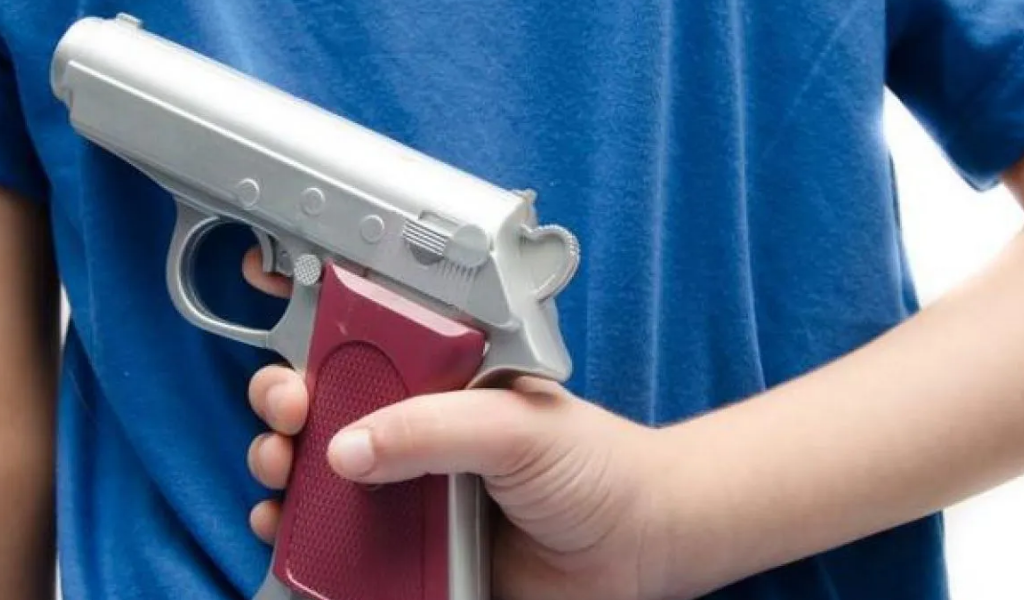 El Senado de Salta aprobó el proyecto que prevé arrestar a padres cuyos hijos menores usen o exhiban armas de fuego