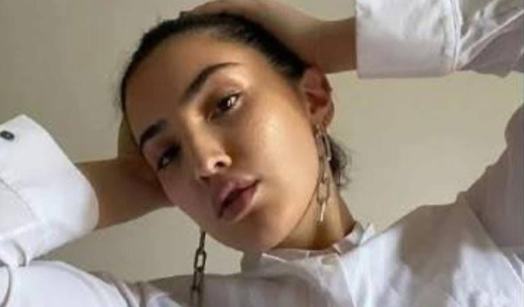 Polémica por el millonario préstamo “vip” a la sobrina de Martín Menem que sacude al gobierno