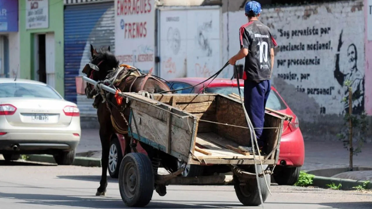 Al igual que la capital salteña, Metán avanza en la eliminación de la tracción a sangre y buscan alternativas para los carreros