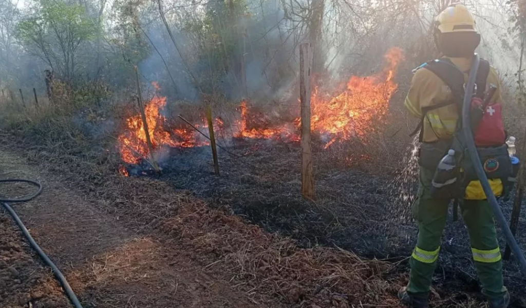 Continúan los incendios forestales en el norte de Salta: Se utilizan aviones hidrantes para combatir el fuego en Orán