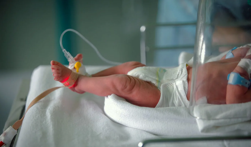 Entre el 31 de diciembre y el 1 de enero nacieron en la ciudad de Salta 16 bebés