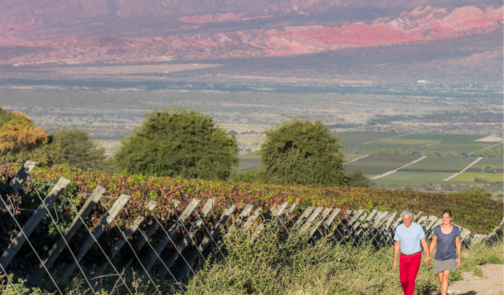 ChatGPT recomienda a Cafayate como el destino preferido del norte argentino  para visitar durante todo el año