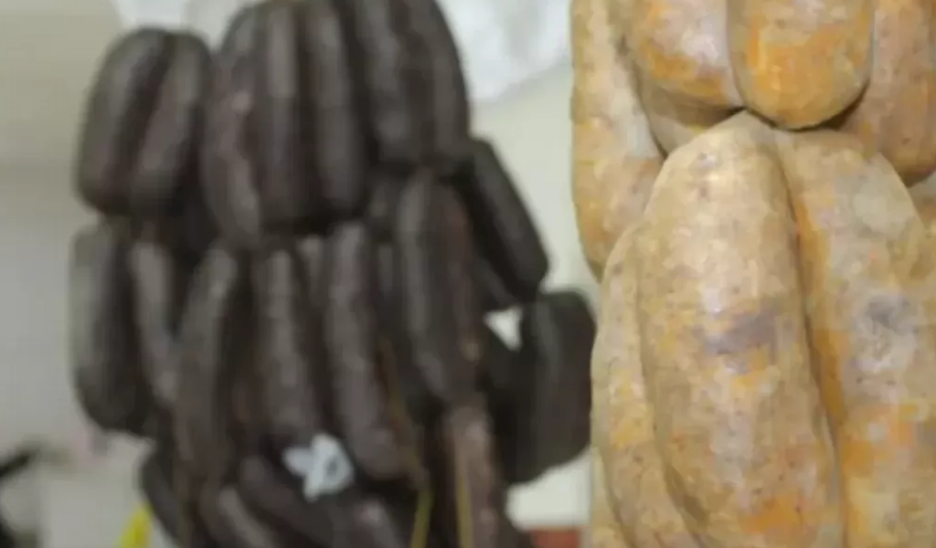 Habló la mujer que denunció a un comercio salteño por realizar embutidos supuestamente  con carne de gato: "En la cuadra desaparecieron muchos animales”