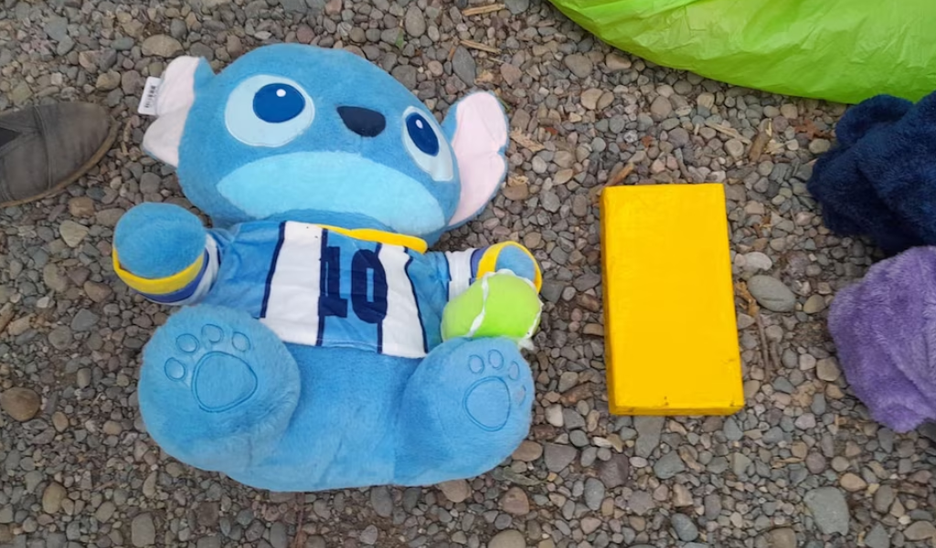 Salta: detuvieron a una mujer por llevar un kilo de cocaína oculto en un peluche