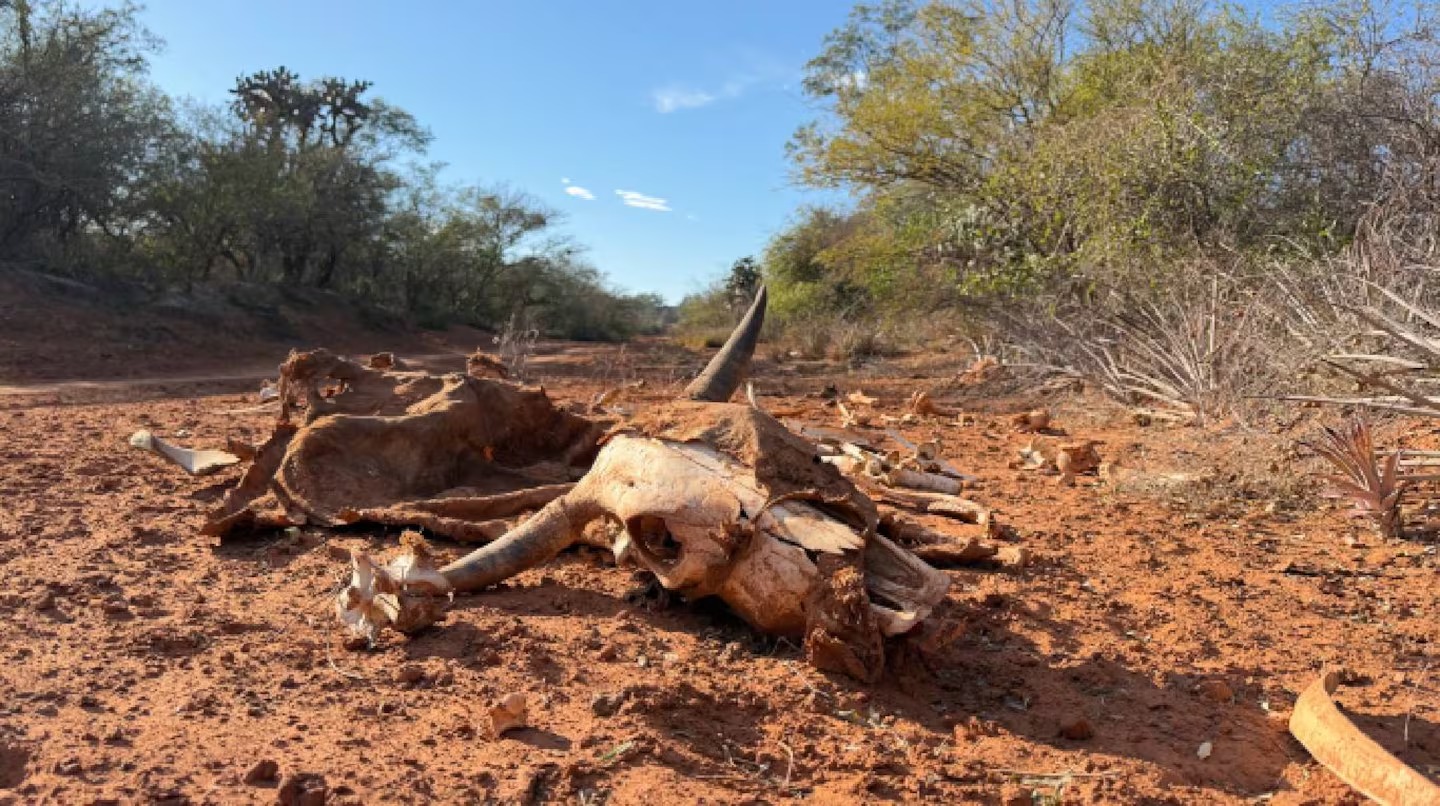 Denuncian que el pozo petrolero abandonado en el norte de Salta sigue emanando gases y fluidos