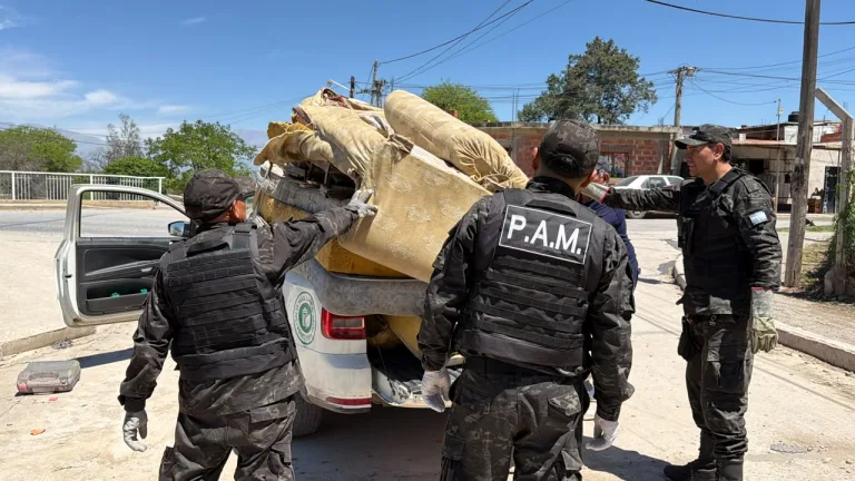 Operativo conjunto: la Municipalidad y la Policía limpiaron un bajo puente clave en la zona oeste de la ciudad