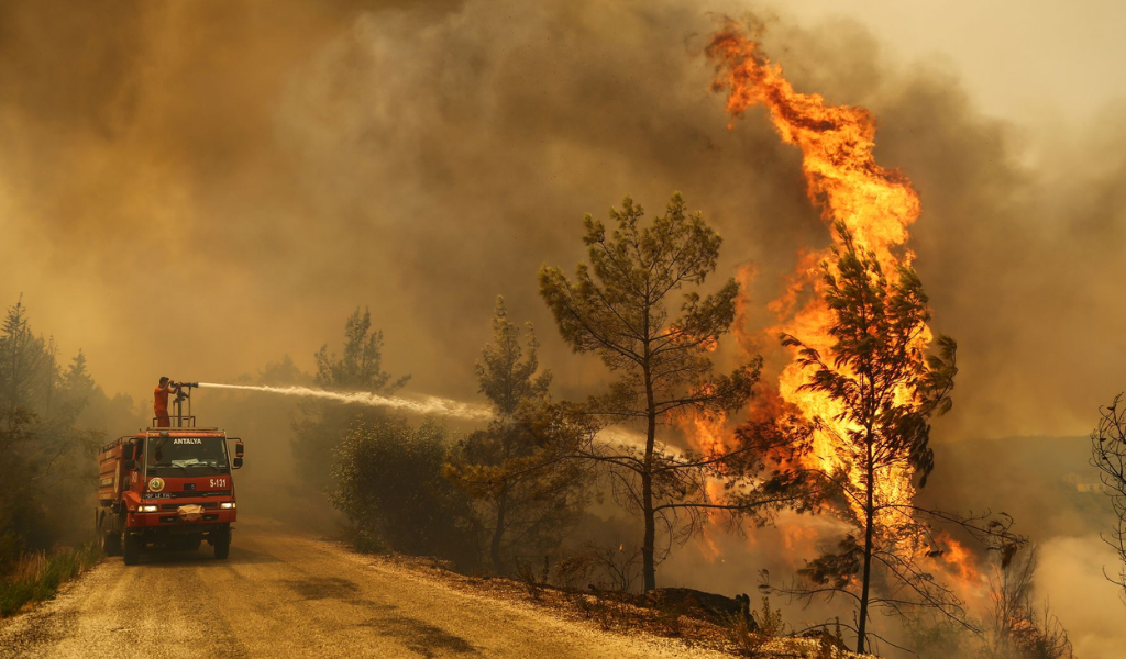 En 2025 el Milei transfirió solo la mitad de los fondos que tienen asignados los bomberos voluntarios del país