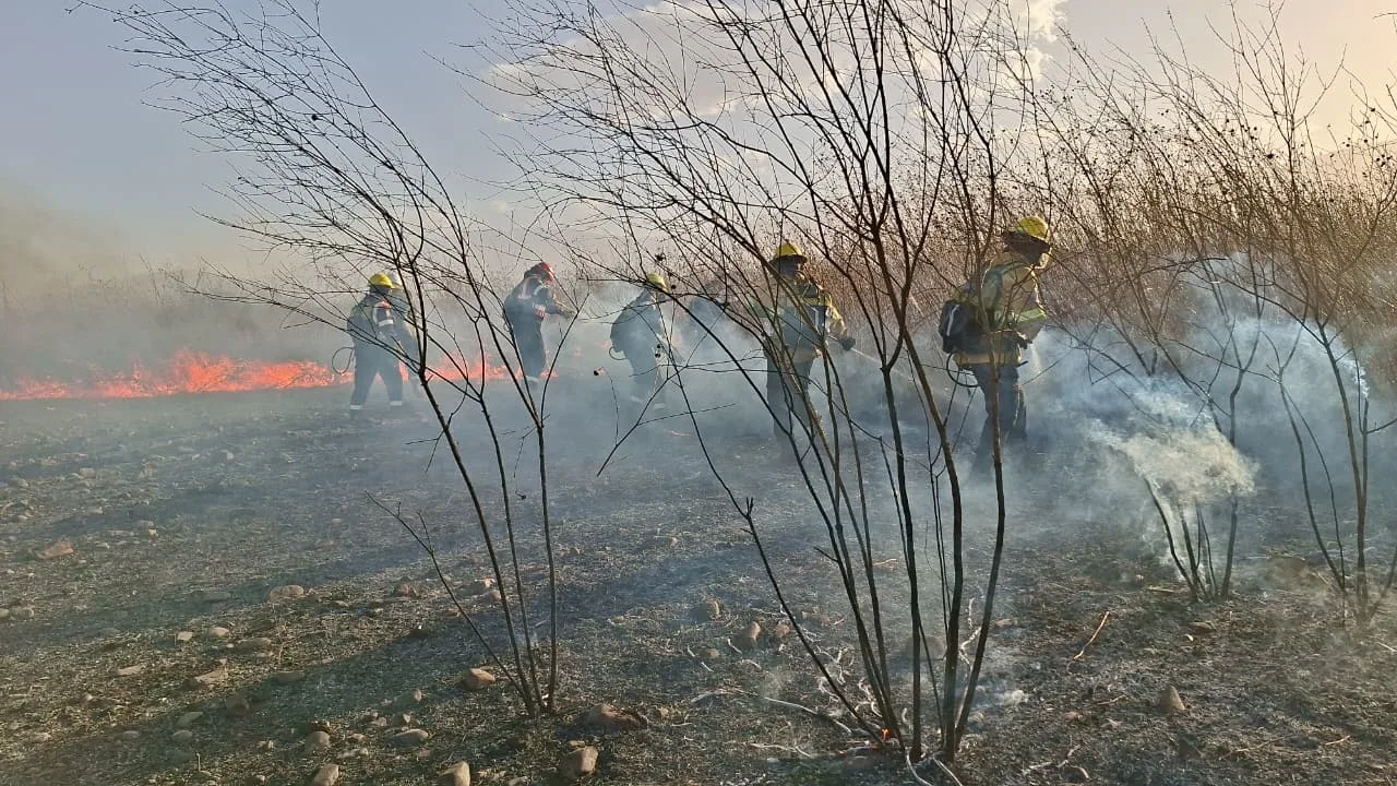 El Municipio, Defensa Civil y bomberos sofocaron un importante incendio en el predio del aeropuerto Martín Miguel de Güemes.