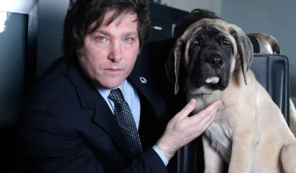 Murió uno de las mascotas cle Javier Milei:  Se trata de  Robert,  el perro clonado de Conan
